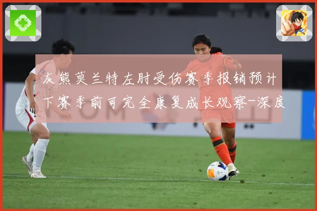 灰熊莫兰特左肘受伤赛季报销预计下赛季前可完全康复成长观察-深度解析