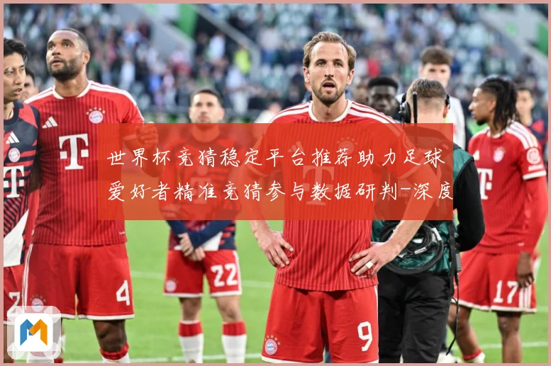 世界杯竞猜稳定平台推荐助力足球爱好者精准竞猜参与数据研判-深度解析